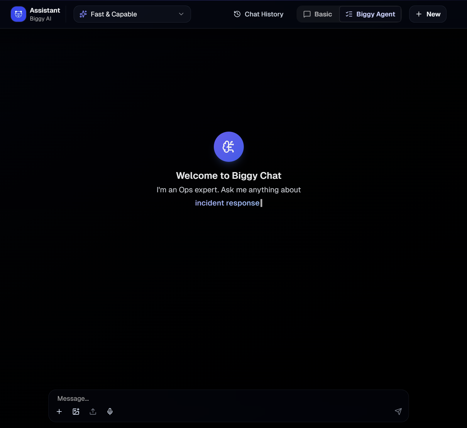 biggy_webapp_chat.png